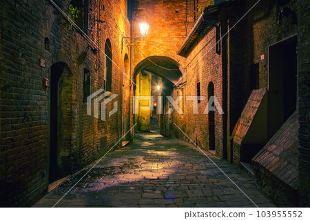Narrow street in Siena, Italy Narrow street in Siena, Italy 103955552