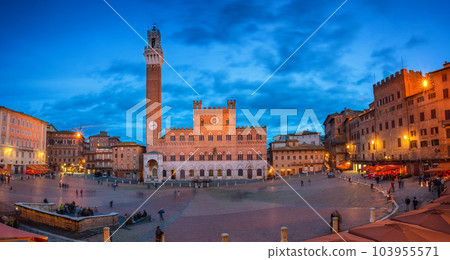 Piazza del Campo in Siena 103955571
