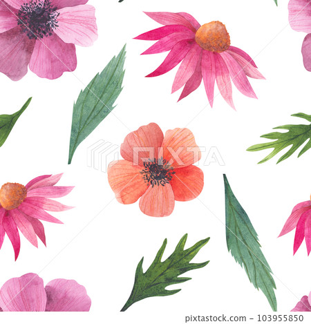 Watercolor seamless pattern with anemone and echinacea buds. Watercolor print isolated on white background for textile or wallpapers, illustration in provence style Watercolor seamless pattern with anemone and echinacea buds. Watercolor print isolated on white background for textile or wallpapers, illustration in provence style 103955850