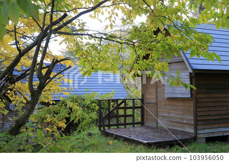 森林中的小屋（福島縣北鹽原村里磐梯五色沼湖） 103956050