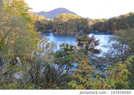 Bishamon-numa during the fall foliage season (Goshikinuma Lakes, Urabandai, Kitashiobara Village, Fukushima Prefecture) Bishamon-numa during the fall foliage season (Goshikinuma Lakes, Urabandai, Kitashiobara Village, Fukushima Prefecture) 103956080