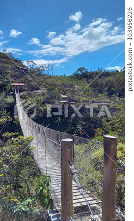 wooden suspension bridge in brazilian Cerrado landscape, perspective view 103956226