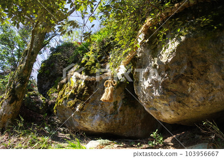 Mt. Monju 103956667