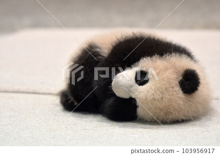 113 天大的湯濱 103956917