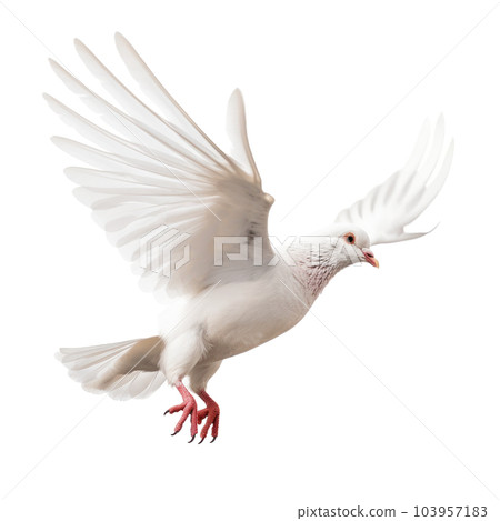 White pigeon flying isolated. Illustration AI Generative White pigeon flying isolated. Illustration AI Generative 103957183