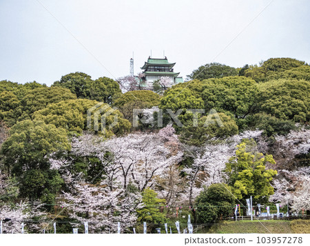 春天的小牧山城 麒麟城 103957278