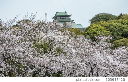 Komakiyama Castle in spring Kirin Castle Komakiyama Castle in spring Kirin Castle 103957420
