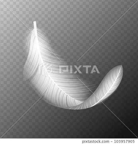 White feather. Flying realistic vector white feather. Isolated vector illustration EPS10 103957905