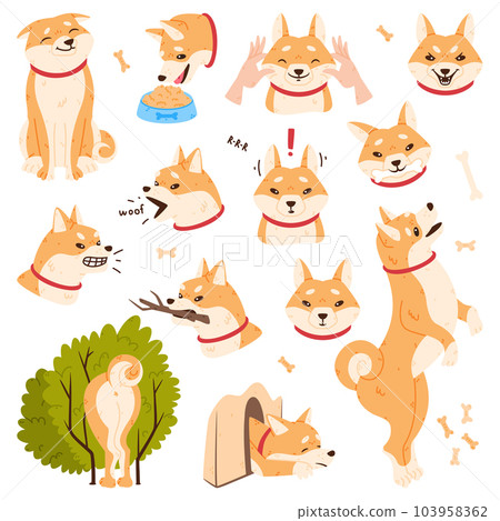 Akita Inu Dog and Domestic Animal or Pet in Different Situation Vector Set 103958362