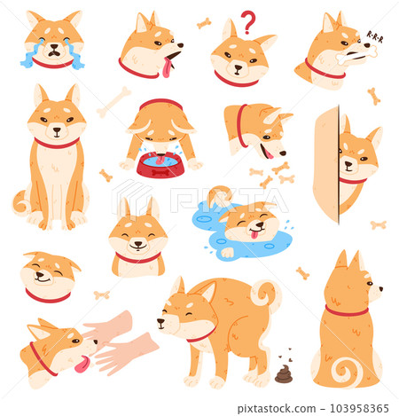 Akita Inu Dog and Domestic Animal or Pet in Different Situation Vector Set 103958365