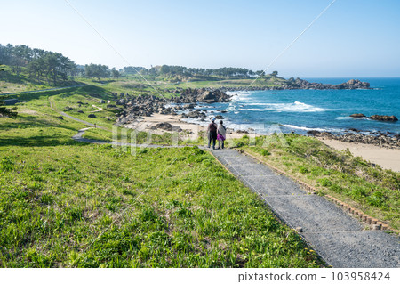 ``Aomori Prefecture'' Beautiful scenery of Nakasuka coast Tanesashi coast 103958424