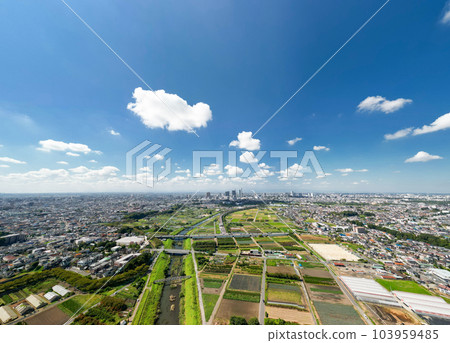Aerial photography "Saitama Prefecture" Shooting Minuma rice fields with a drone 103959485