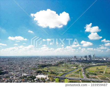 Aerial photography "Saitama Prefecture" Shooting Minuma rice fields with a drone Aerial photography "Saitama Prefecture" Shooting Minuma rice fields with a drone 103959487