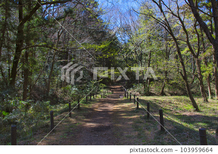 [所澤市]狹山之丘/龍貓森林 103959664