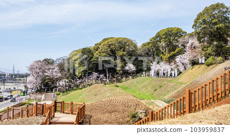 春天小牧山公園 103959837