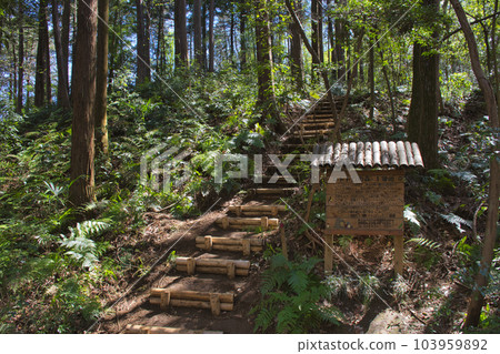 [Tokorozawa City] Sayama Hills / Totoro Forest No. 1 103959892