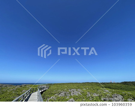 Miyakojima Shimojishima A walking path behind Toriike Pond 103960359