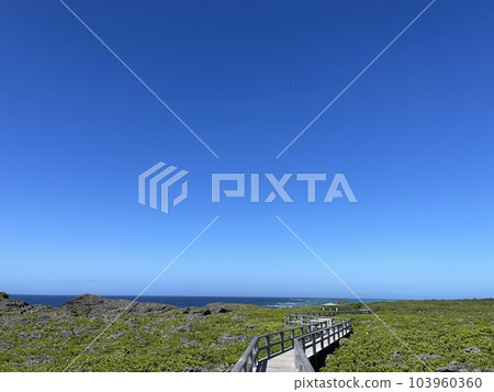 宮古島 下地島 鳥池後的步行道 宮古島 下地島 鳥池後的步行道 103960360