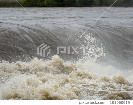大和川上的柏原水壩因暴雨而腫脹 大和川上的柏原水壩因暴雨而腫脹 103960619