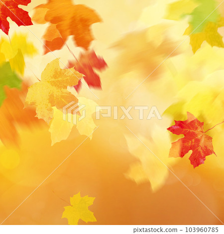 Autumn image background Autumn image background 103960785
