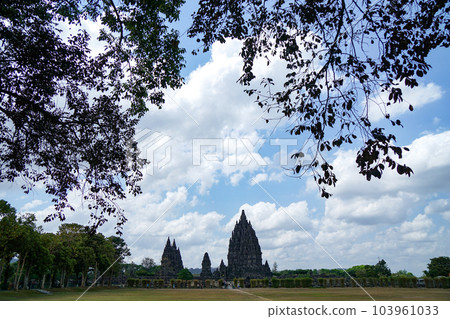 Prambanan temple complex and tree silhouette Prambanan temple complex and tree silhouette 103961033