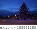 tree biei 103961263