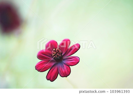 柔和的“巧克力波斯菊”插圖圖像 柔和的“巧克力波斯菊”插圖圖像 103961393