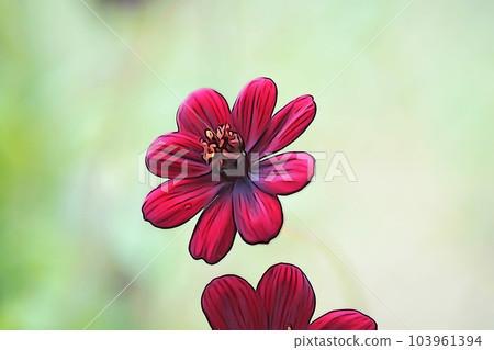 柔和的“巧克力波斯菊”插圖圖像 103961394