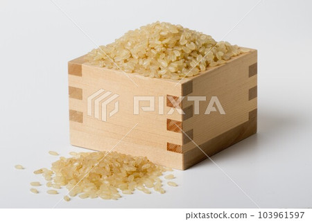 發芽糙米 發芽糙米 103961597