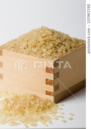 發芽糙米 103961598