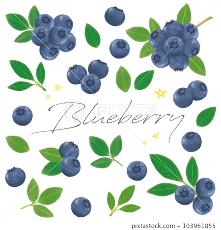 Blueberry hand-painted watercolor set vector 103961855