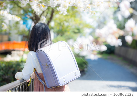 Elementary school girl walking on the school road Sakura 103962122