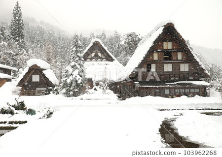 Snow Shirakawa Town 103962268