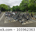 Bicycle parking space 103962363