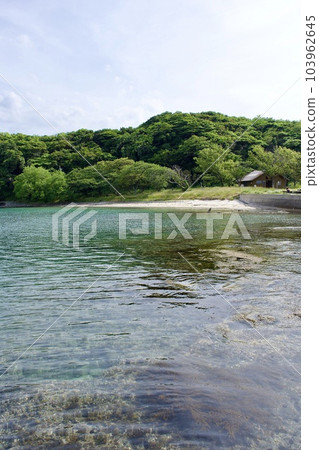 Shimane Peninsula Geopark Lava Island Kaga Katsurashima Shimane Peninsula Geopark Lava Island Kaga Katsurashima 103962645