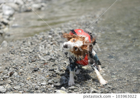 出河搖身跳水 103963022