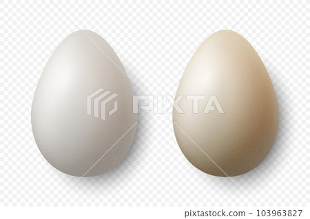 Vector 3d Realistic White Chicken Eggs Closeup Isolated. Textured Chicken Egg Set. Vector Different Color Whole Eggs. Egg in Front, Top View 103963827