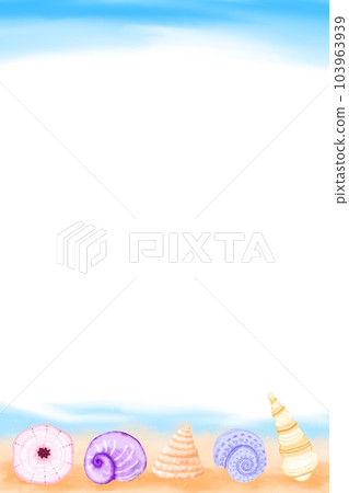 shell  shellfish clam  background 103963939