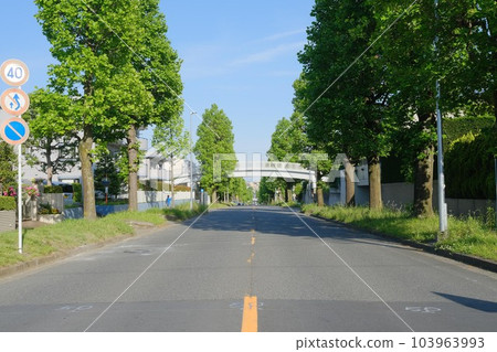 美丘鵝絨街（橫濱市青葉區） 103963993