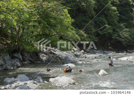 Women and dogs walking in river shallows Women and dogs walking in river shallows 103964146
