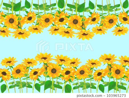 Sunflower field top and bottom background 103965273