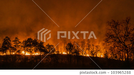 El Nino weather phenomenon cause drought and increase wildfire. 103965288