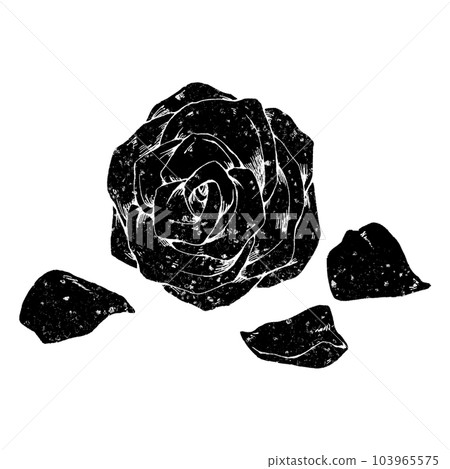 Rose flower and petals (single item) / stamp Rose flower and petals (single item) / stamp 103965575