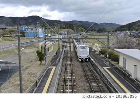 途經京都和梅迫站的特快列車 103965856