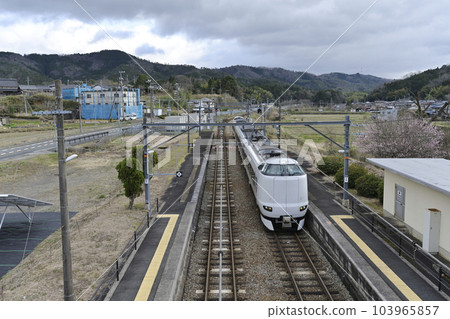 途經京都和梅迫站的特快列車 103965857