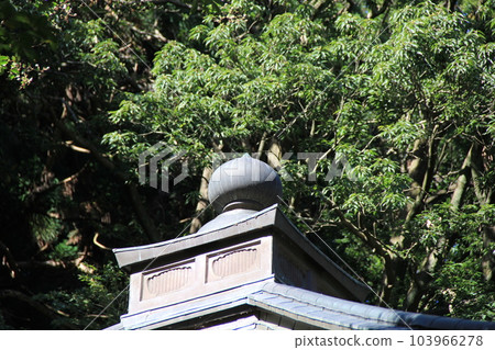 在建築物/頂部裝飾有“hoju”裝飾的寺廟建築的屋頂。 在建築物/頂部裝飾有“hoju”裝飾的寺廟建築的屋頂。 103966278