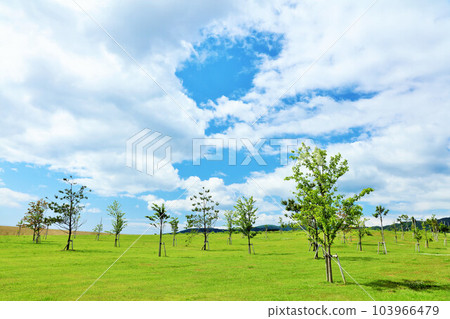 Iwate Prefecture Rikuzentakata Blue Sky Park Iwate Prefecture Rikuzentakata Blue Sky Park 103966479