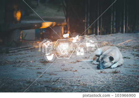 Tan dog laying down on the ground with healthy icon Natural herbal remedies. Organic pharmaceuticals e, Sick, sad dog, Alternative medicine, Sustainable Tan dog laying down on the ground with healthy icon Natural herbal remedies. Organic pharmaceuticals e, Sick, sad dog, Alternative medicine, Sustainable 103966900