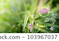 Blured green leave background and Smart technology with Internet of things futuristic agriculture concept, Sustainable energy, Metaverse, AI Futuristic Smart virtual interface. 103967037