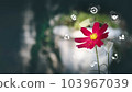 Blured green leave background and Smart technology with Internet of things futuristic agriculture concept, Sustainable energy, Metaverse, AI Futuristic Smart virtual interface. 103967039